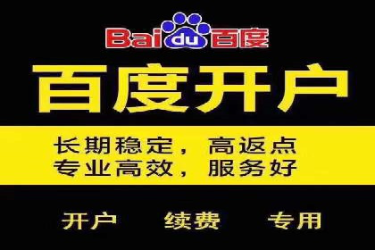 谷歌SEM广告策略：某电商平台的成功逆袭案例